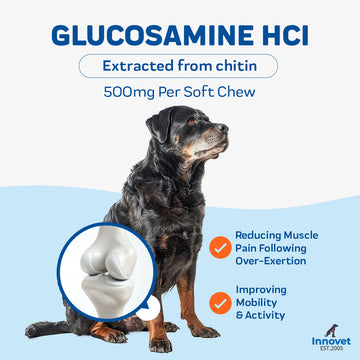 Load image into Gallery viewer, Advanced Mobility Support Chews