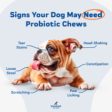 Load image into Gallery viewer, Advanced Probiotic Support Chews