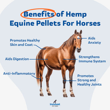 Load image into Gallery viewer, Equine PCR - Hemp Pellets for Horses