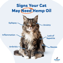 Load image into Gallery viewer, PurHemp Oil for Cats