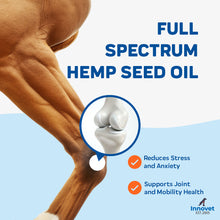 Load image into Gallery viewer, PurHemp Oil for Horses