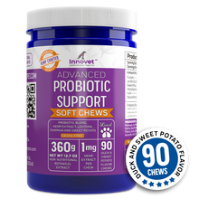 Load image into Gallery viewer, Advanced Probiotic Support Chews