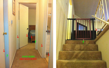 Load image into Gallery viewer, Tracerz® Scent Markers for Blind Dogs - Helping Blind Dogs Navigate - | Innovet Pet