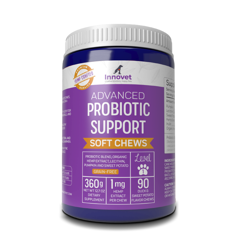 Amazing Probiotic Support