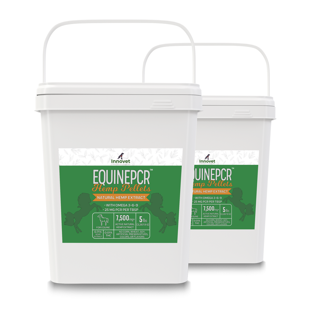 Equine Hemp PCR - Hemp Pellets for Horses - | Innovet Pet