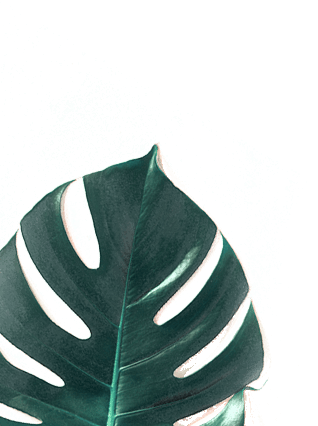 Innovetpet Footer background