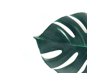 Innovetpet Footer background