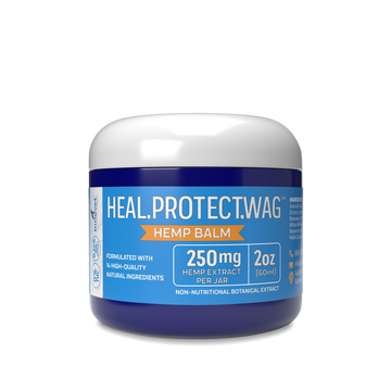 Load image into Gallery viewer, Hemp Protect Balm - 250mg Hemp Extract

