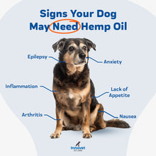 Load image into Gallery viewer, PurHemp Oil for Dogs
