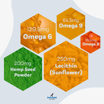 Load image into Gallery viewer, Advanced Skin &amp; Coat Support Chews
