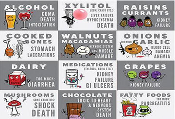 Load image into Gallery viewer, STAT!Syringe® to Induce Vomiting in Dogs in an Emergency! - | Innovet Pet
