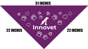Load image into Gallery viewer, Purple Pet Bandanas - Large - | Innovet Pet
