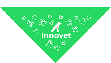 Load image into Gallery viewer, Lime Green Pet Bandanas - Large - | Innovet Pet

