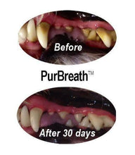 Load image into Gallery viewer, PurBreath No Brush. Pet Oral Care Gel - | Innovet Pet
