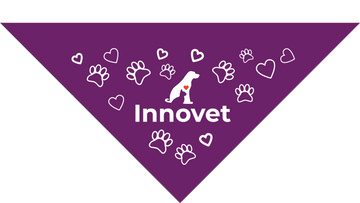 Load image into Gallery viewer, Purple Pet Bandanas - Large - | Innovet Pet
